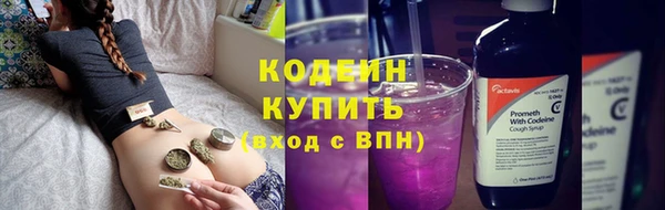 дживик Пестово